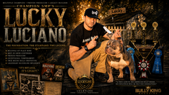 Lucky Luciano: The American Bully Legend Behind Luckyline