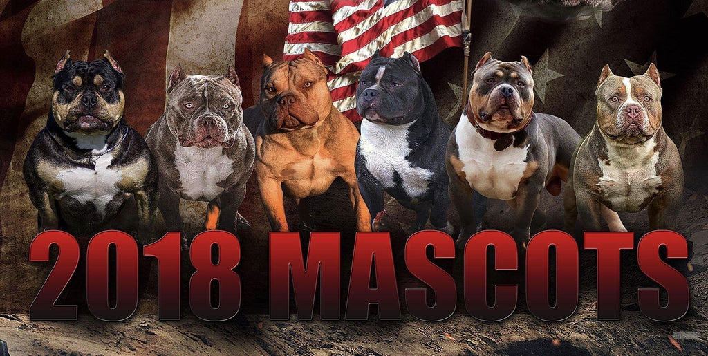 BECOME AN OFFICIAL 2019 BULLY KING MAGAZINE MASCOT!-BULLY KING Magazine
