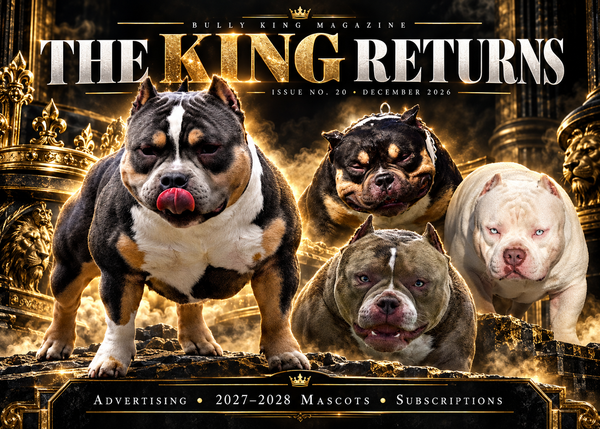 American Bully Advertising & Promotion: BULLY KING Magazine Returns With Issue No. 20