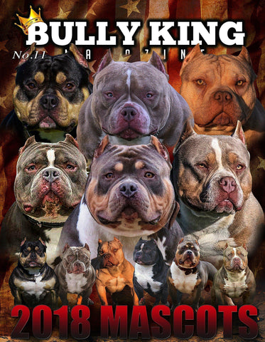 Bully King Magazine-BULLY KING Magazine
