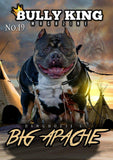 Year Subscription | 6 Issues-BULLY KING Magazine