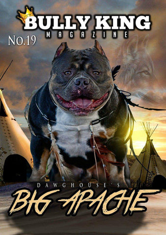 Year Subscription | 6 Issues-BULLY KING Magazine