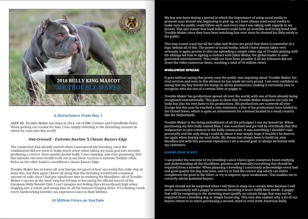 ADVERTISING | GET FEATURED IN THE NEXT ISSUE-BULLY KING Magazine