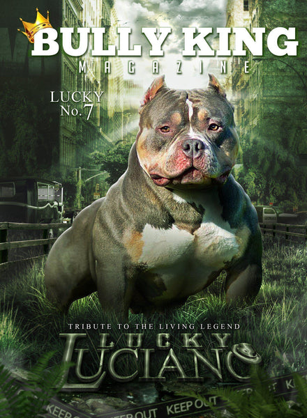 Single Issues-BULLY KING Magazine