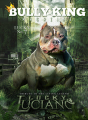 Single Issues-BULLY KING Magazine