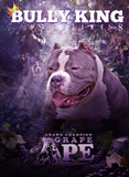 Single Issues-BULLY KING Magazine