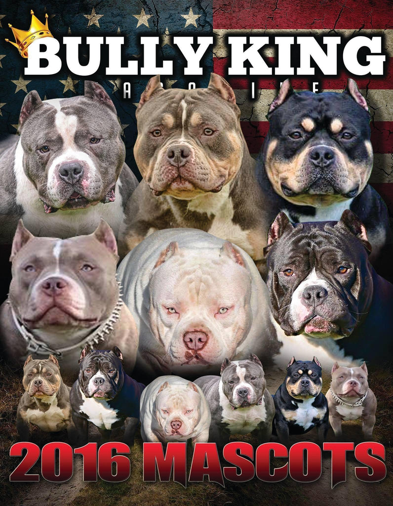 Year Subscription | 6 Issues-BULLY KING Magazine