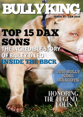Year Subscription | 6 Issues-BULLY KING Magazine