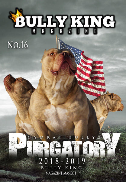Year Subscription | 6 Issues-BULLY KING Magazine