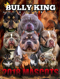 Year Subscription | 6 Issues-BULLY KING Magazine