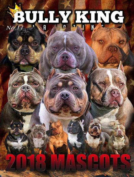 Year Subscription | 6 Issues-BULLY KING Magazine